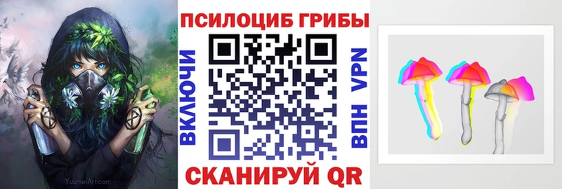 Купить  Любань  Псилоцибиновые грибы Magic Shrooms 